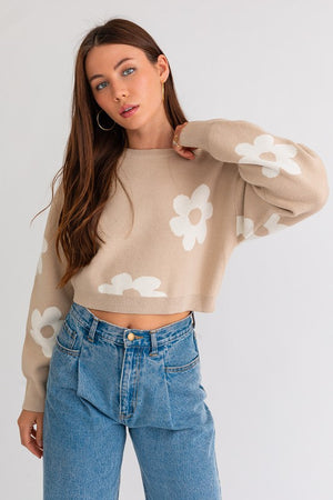 Daisy Days Crop Sweater