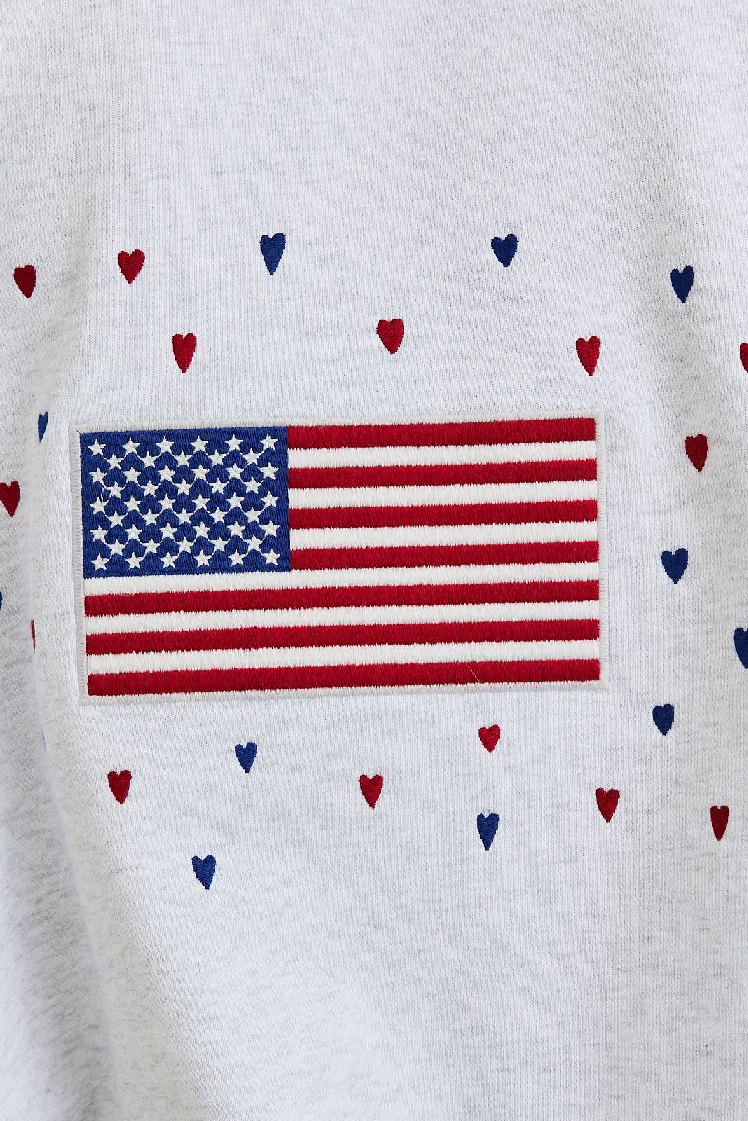 Team USA Embroidered Sweatshirt