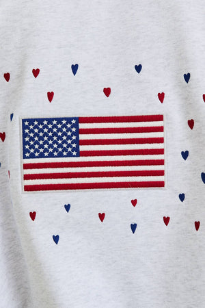 Team USA Embroidered Sweatshirt