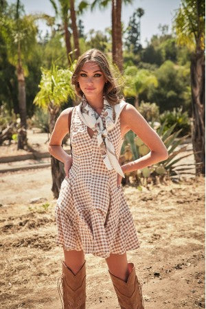 I’m a Little Crazy Tan Gingham Dress