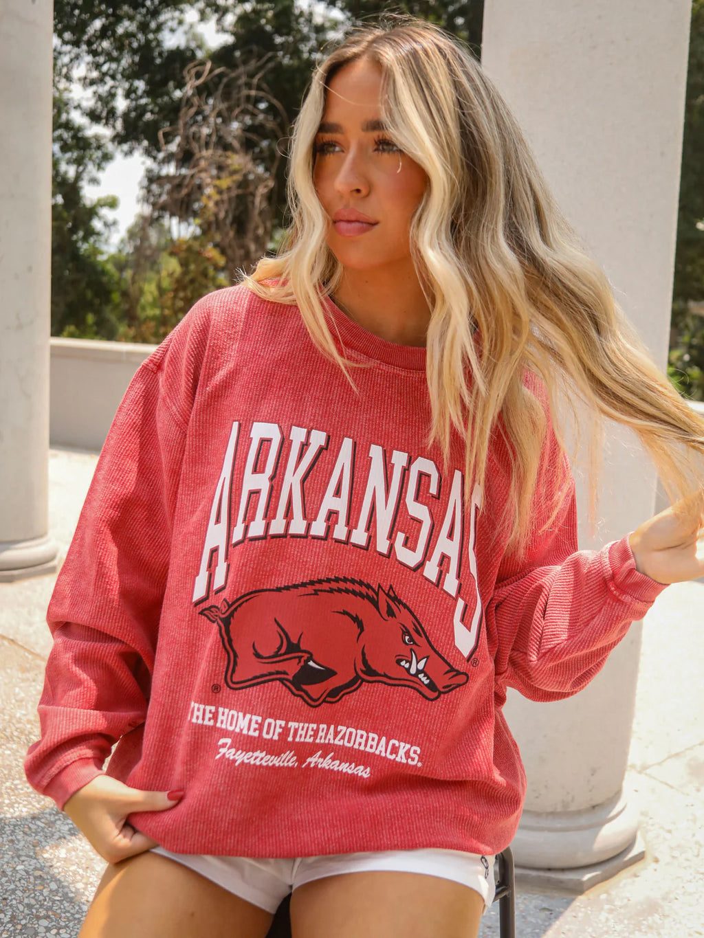 Arkansas Collegiate Corded Pullover by Charlie Southern