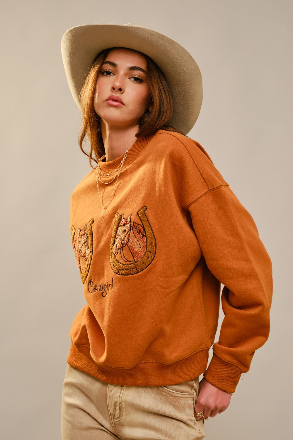 ROUND NECK HORSE EMBROIDERY SWEATSHIRT