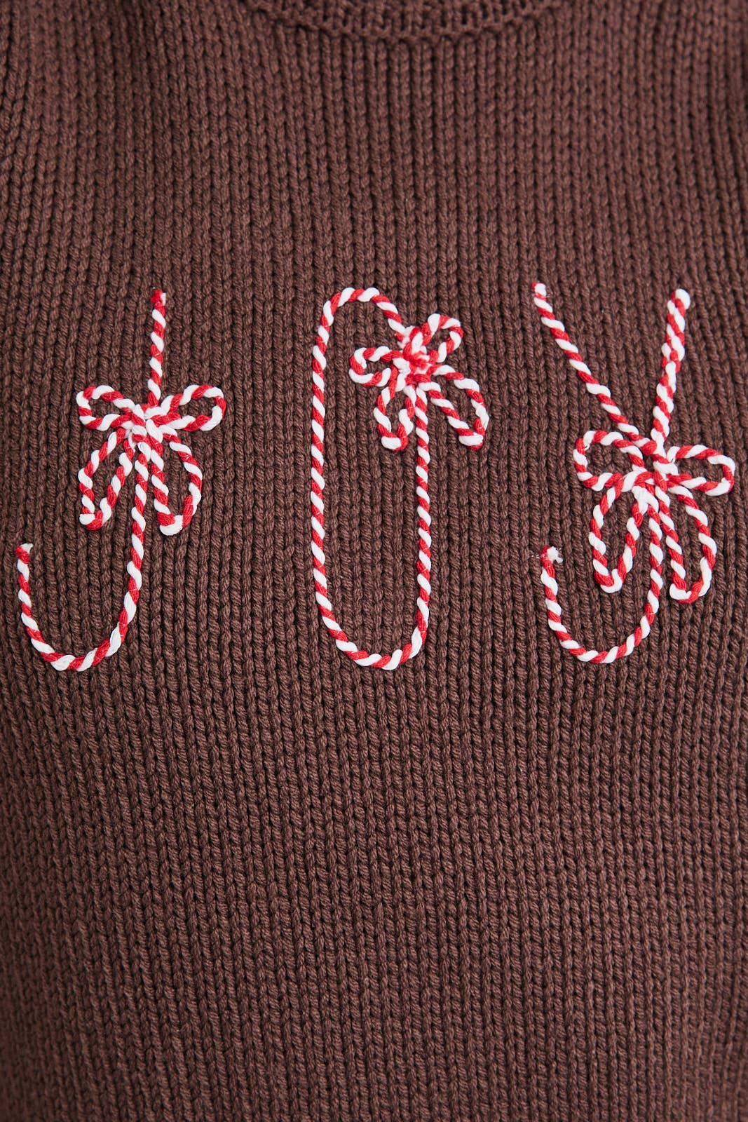 Joy to the World Sweater Top