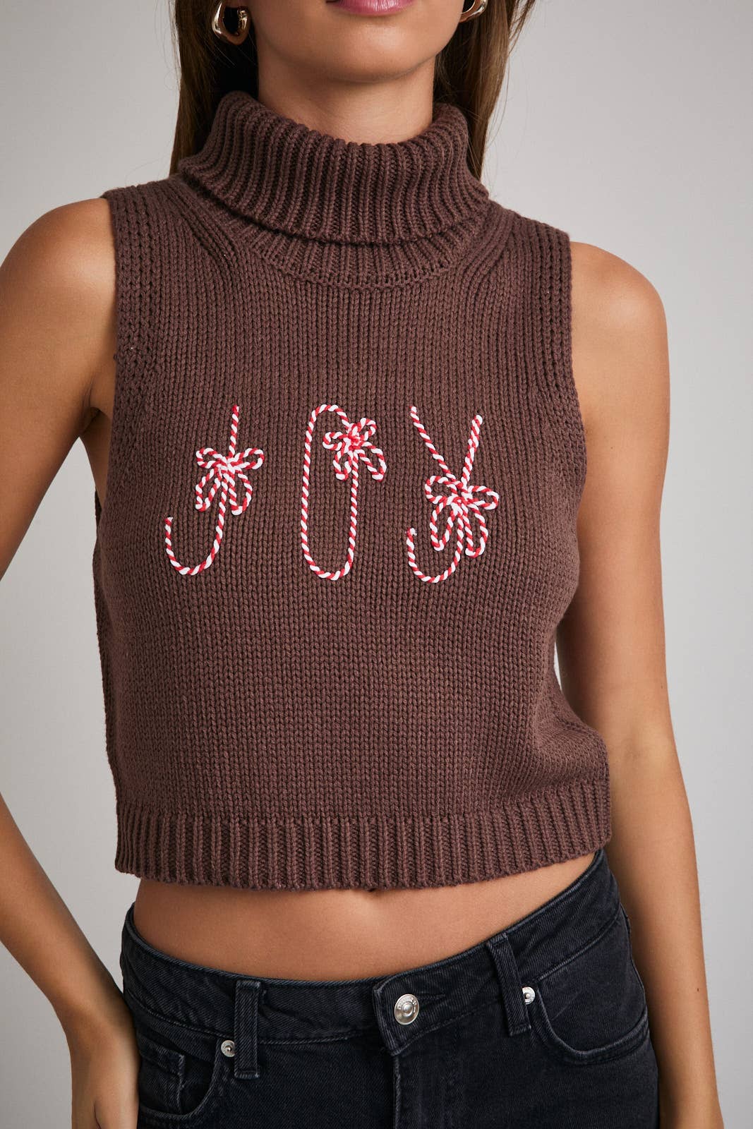 Joy to the World Sweater Top