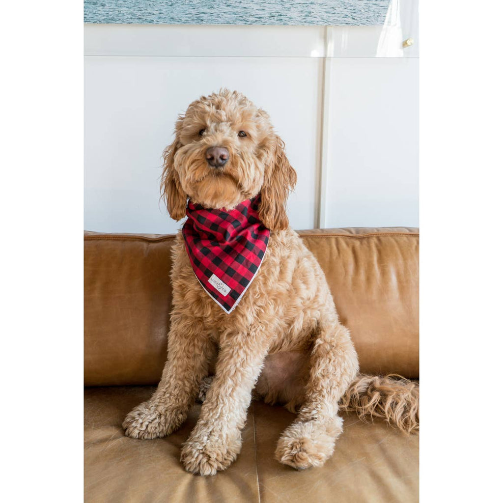 Life at The Farmhouse Buffalo Checked Dog Bandana