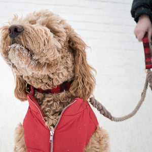 Reversible Dog Puffer Vest